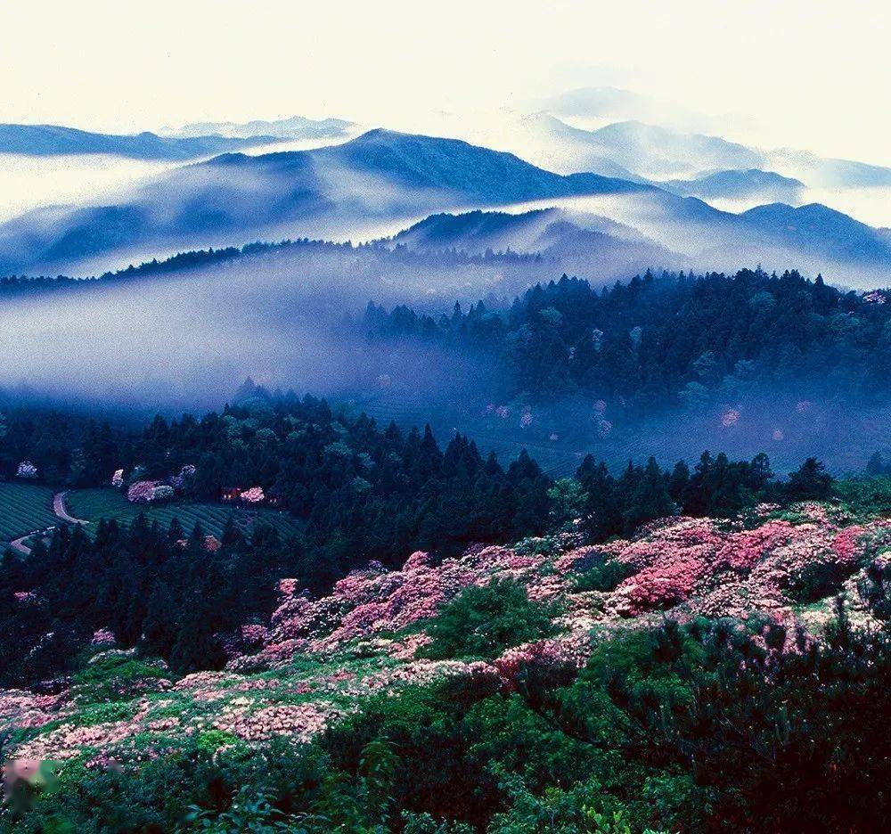 臺州日報丨文化圣山天臺山