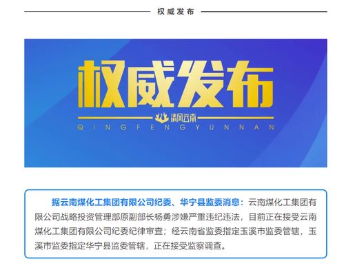 國企反腐再出重拳 云南煤化工集團原戰(zhàn)略投資管理部副部長楊勇接受審查調查